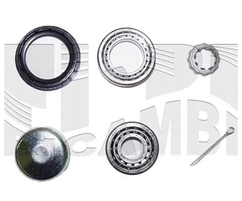 Wheel Bearing Kit (RK1024)