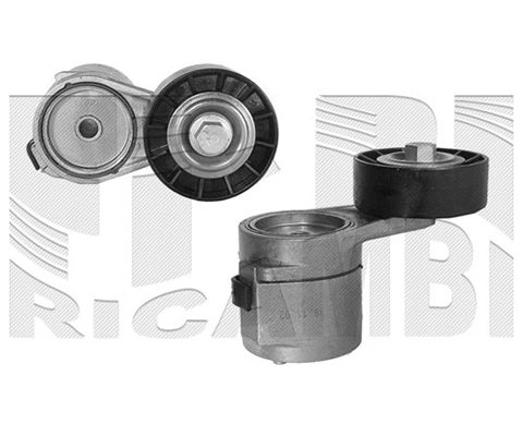 Belt Tensioner, V-ribbed belt (FI7410)