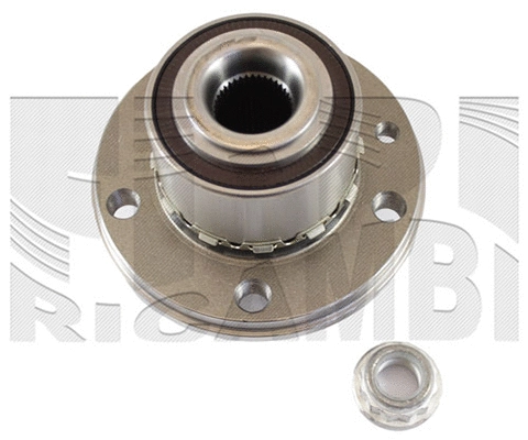 Wheel Bearing Kit (RK1076H)