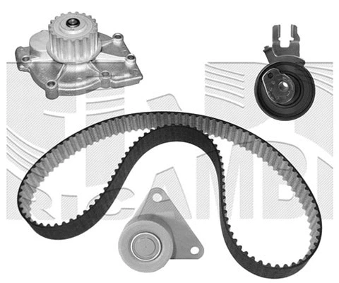 Water Pump & Timing Belt Kit (WKFI427)