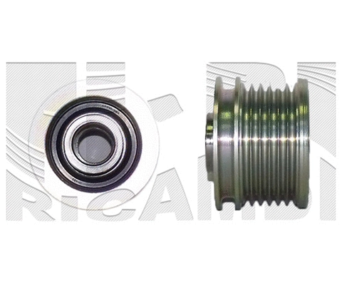 Alternator Freewheel Clutch (FI19860)
