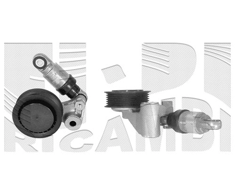 Belt Tensioner, V-ribbed belt (FI8530)