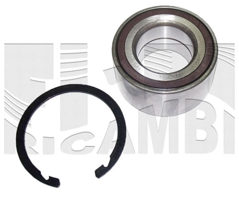 Wheel Bearing Kit (RK1979)