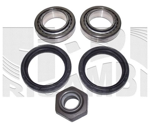 Wheel Bearing Kit (RK7876)
