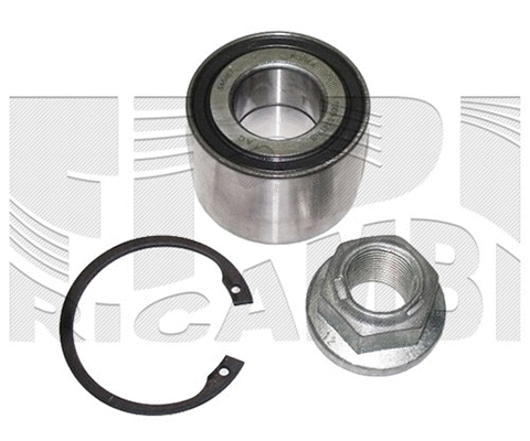 Wheel Bearing Kit (RK4480)