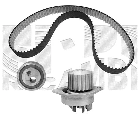 Water Pump & Timing Belt Kit (WKFI001)