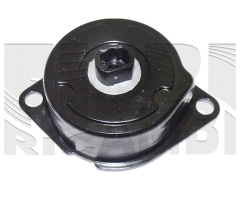 Belt Tensioner, V-ribbed belt (FI20240)