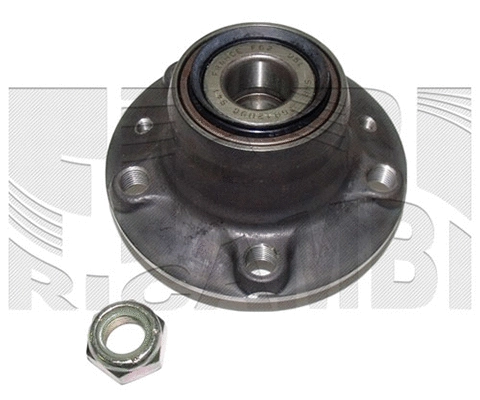 Wheel Bearing Kit (RK3029)