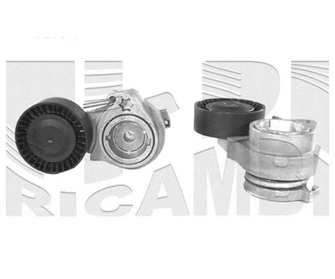 Belt Tensioner, V-ribbed belt (FI10550)