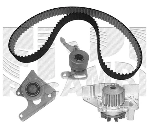 Water Pump & Timing Belt Kit (WKFI015)
