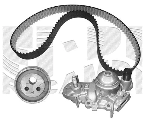 Water Pump & Timing Belt Kit (WKFI069)