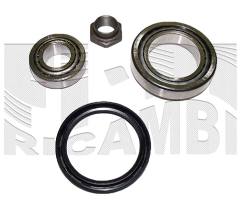 Wheel Bearing Kit (RK1141)