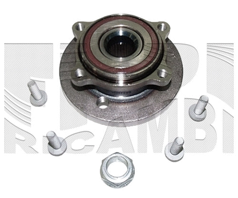 Wheel Bearing Kit (RK4943)