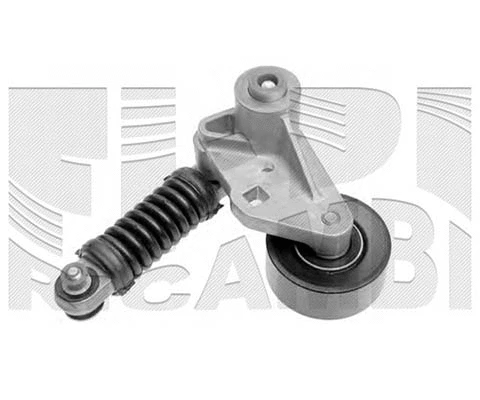 Belt Tensioner, V-ribbed belt (FI11780)
