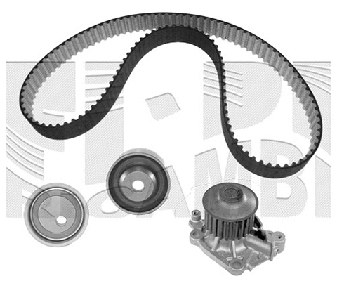 Water Pump & Timing Belt Kit (WKFI407)