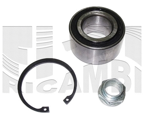Wheel Bearing Kit (RK1709)