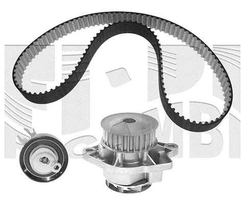 Water Pump & Timing Belt Kit (WKFI148B)
