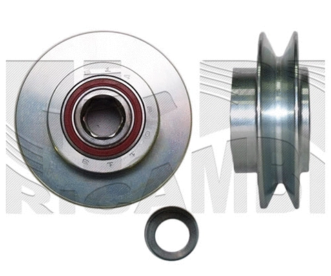 Alternator Freewheel Clutch (FI22660)