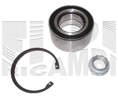 Wheel Bearing Kit (RK6779)