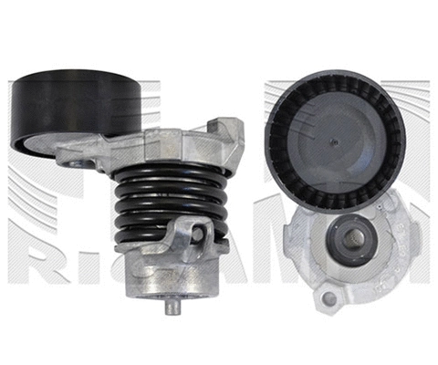 Belt Tensioner, V-ribbed belt (FI24890)