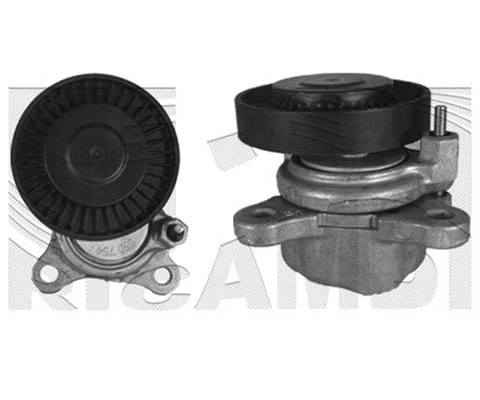 Belt Tensioner, V-ribbed belt (FI14870)