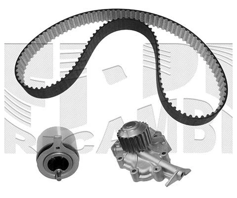 Water Pump & Timing Belt Kit (WKFI275)
