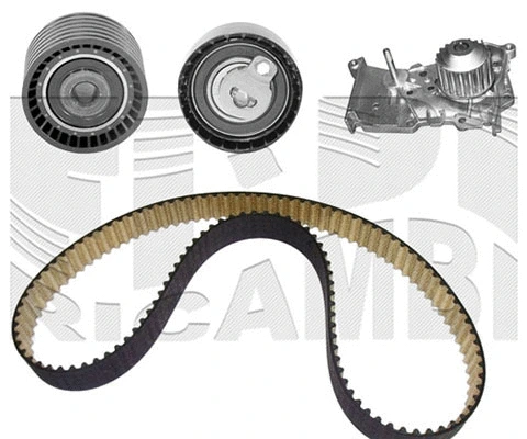 Water Pump & Timing Belt Kit (WKFI536)