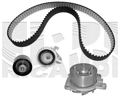Water Pump & Timing Belt Kit (WKFI205)