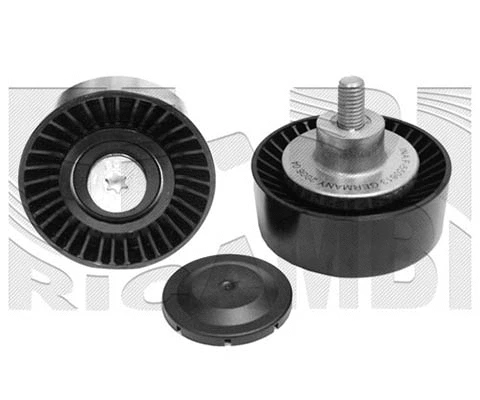 Deflection/Guide Pulley, V-ribbed belt (FI13140)