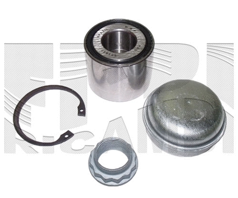 Wheel Bearing Kit (RK6732)