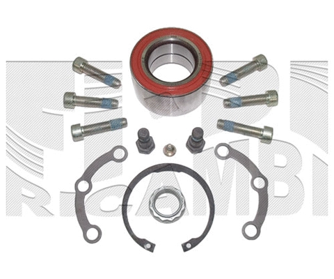Wheel Bearing Kit (RK6771)