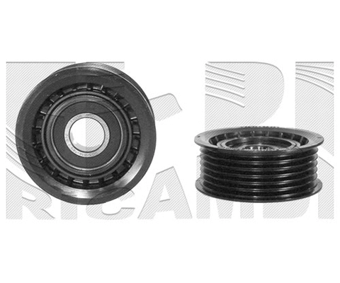 Deflection/Guide Pulley, V-ribbed belt (FI5550)