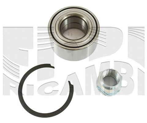 Wheel Bearing Kit (RK9061H)