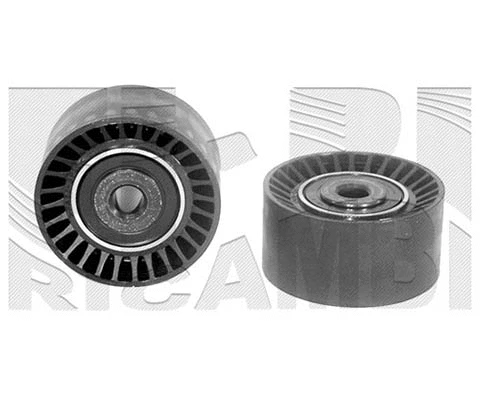Deflection/Guide Pulley, V-ribbed belt (FI10080)