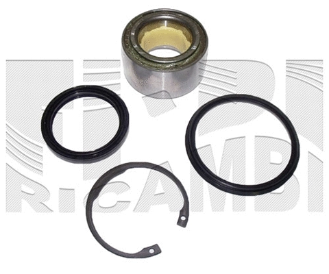 Wheel Bearing Kit (RK2303)