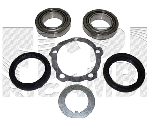 Wheel Bearing Kit (RK2014)
