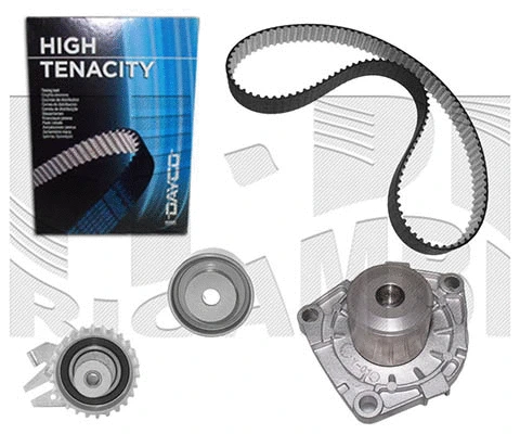 Water Pump & Timing Belt Kit (WKFI308)