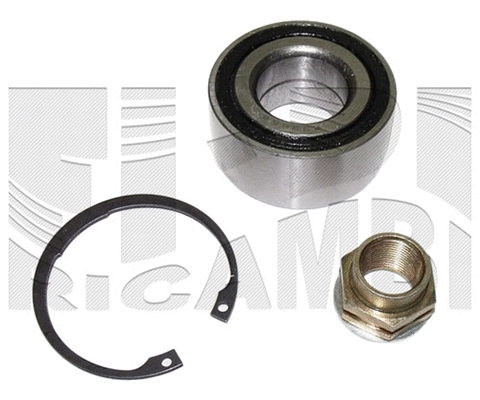 Wheel Bearing Kit (RK9006)