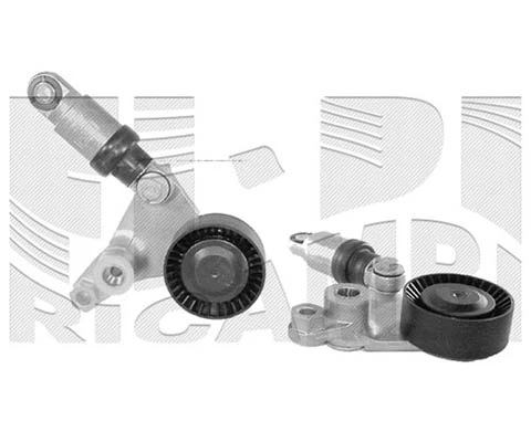 Belt Tensioner, V-ribbed belt (FI10590)