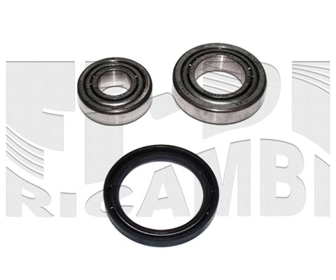 Wheel Bearing Kit (RK1312)