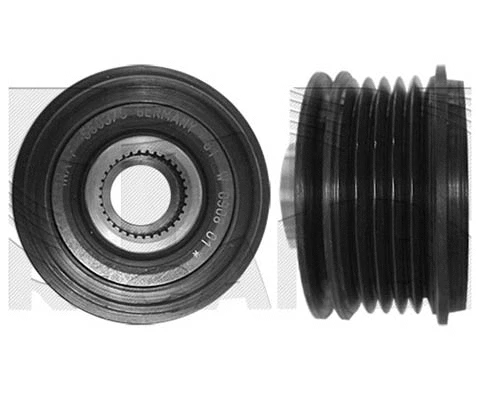 Alternator Freewheel Clutch (FI14210)
