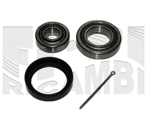 Wheel Bearing Kit (RK1318)