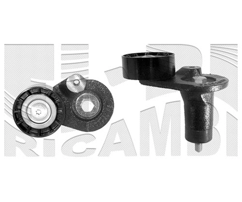 Belt Tensioner, V-ribbed belt (FI8750)