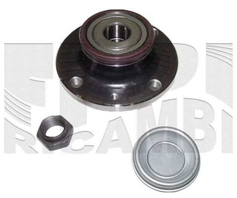 Wheel Bearing Kit (RK4003)