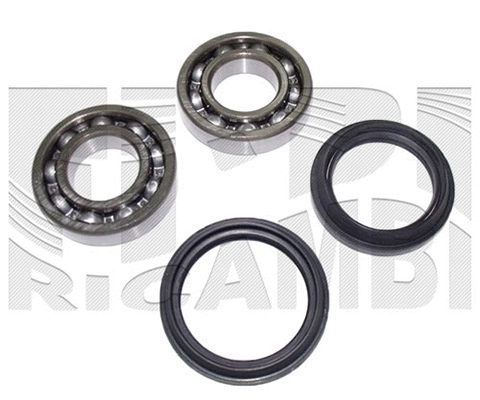 Wheel Bearing Kit (RK2203)