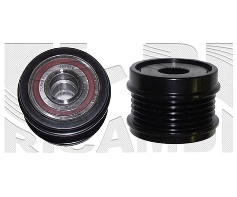 Alternator Freewheel Clutch (FI24510)