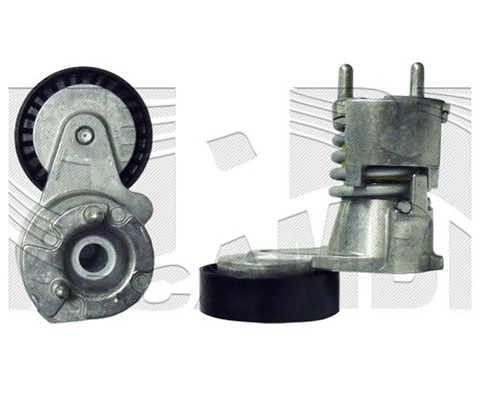 Belt Tensioner, V-ribbed belt (FI18550)