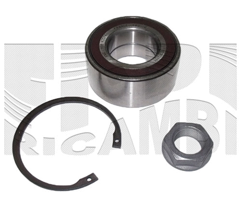 Wheel Bearing Kit (RK3076)