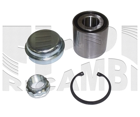 Wheel Bearing Kit (RK10230)