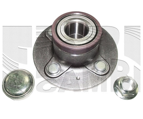 Wheel Bearing Kit (RC1794)
